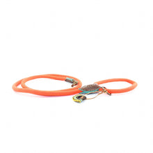 Specialty - Carrot Cake Leash (S or L)
